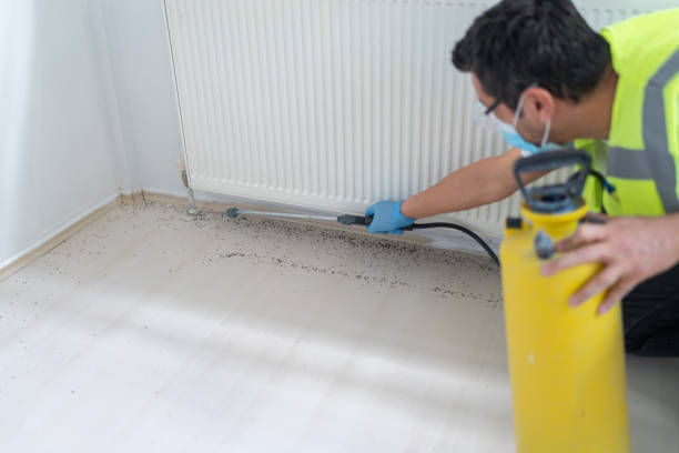 Best Exterminator Services  in Azalea Park, FL